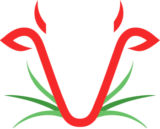 Logo Bœuf de vos prés fond noir light